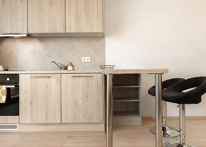 With View And Free Parking 公寓